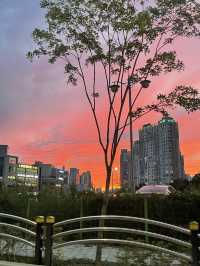예쁜 가을 노을은 팔당댐에서 🌅 