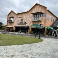 All year spring in Johor