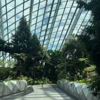 Cloud Forest (Gardens by the Bay)