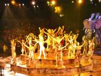Musical live performances