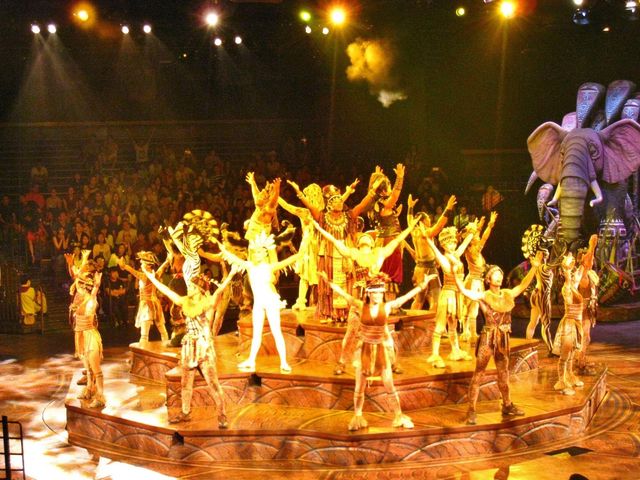 Musical live performances