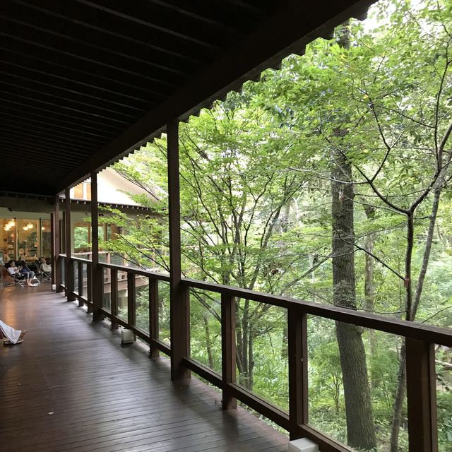 【神奈川県】森林に囲まれた温泉♨️🧖‍♀️おんりーゆー