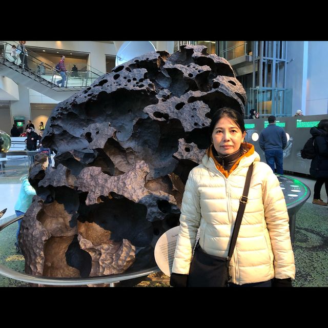 มาเที่ยว American Museum of Natural History ค่ะ