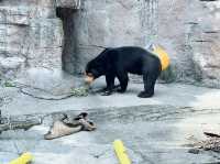 大阪 天王寺動物園 — 睇到香港睇唔到嘅動物