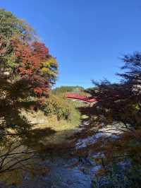 【秋の絶景】千葉の養老渓谷で秋の紅葉を味わってきた！