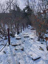 설산 등산 ❄️ 태백산 다녀왔어요