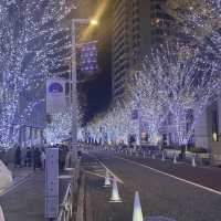 東京聖誕必去打卡位 六本木櫸木坂通