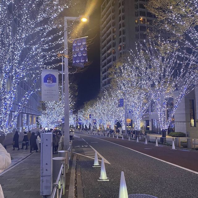 東京聖誕必去打卡位 六本木櫸木坂通