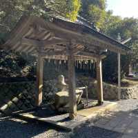 2023年は卯年！白兎神社への参拝
