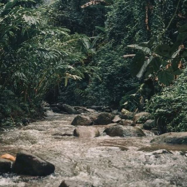 เชียงดาว  จังหวัดเชียงใหม่