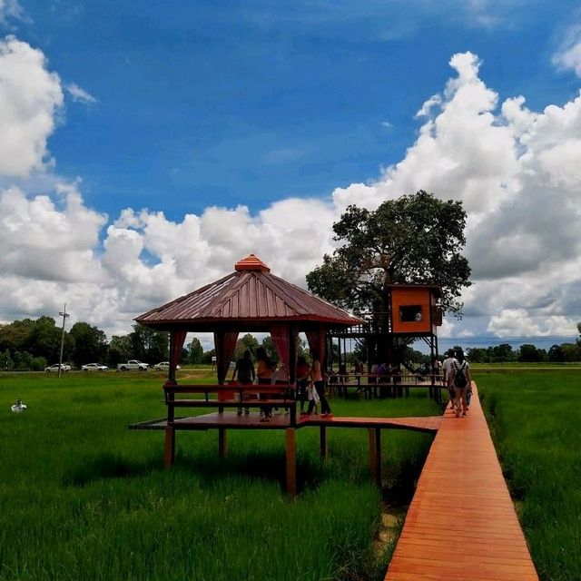 สวนคุณปู่