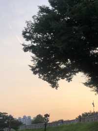 인생 리조또, 운멜로
