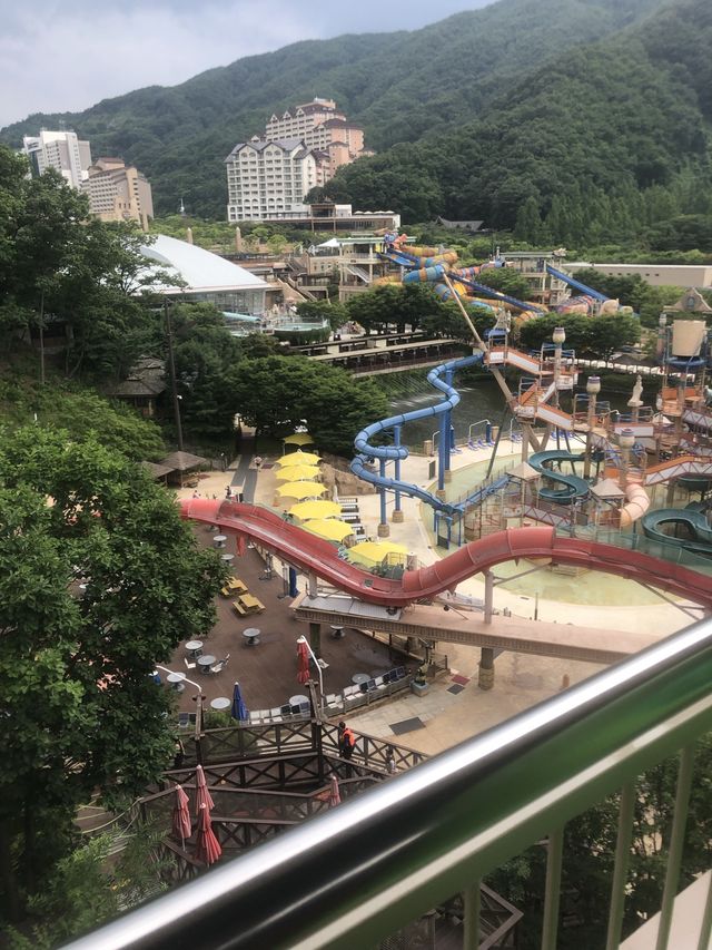 홍천 비발디파크 소노벨 여행후기💙