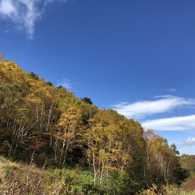 湯の花旅館
