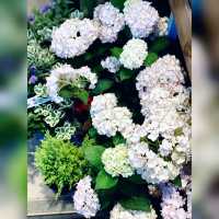 花香撲鼻
