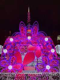 札幌　ホワイトイルミネーション[大通１丁目〜３丁目会場編]
