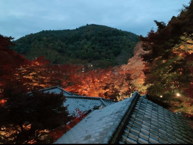 京都[紅葉めぐり]   幻の紅葉　瑠璃光院