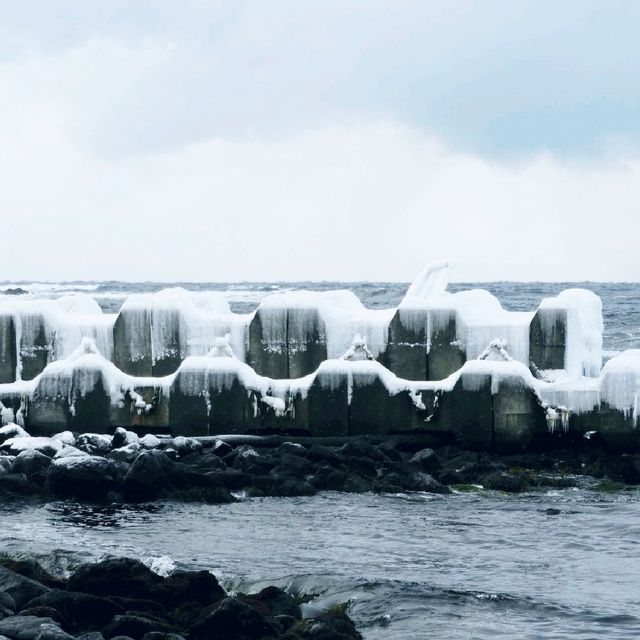凍てつく海