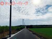 沖縄　電動自転車でゆく小浜島オススメ散策ルート第三弾❗️