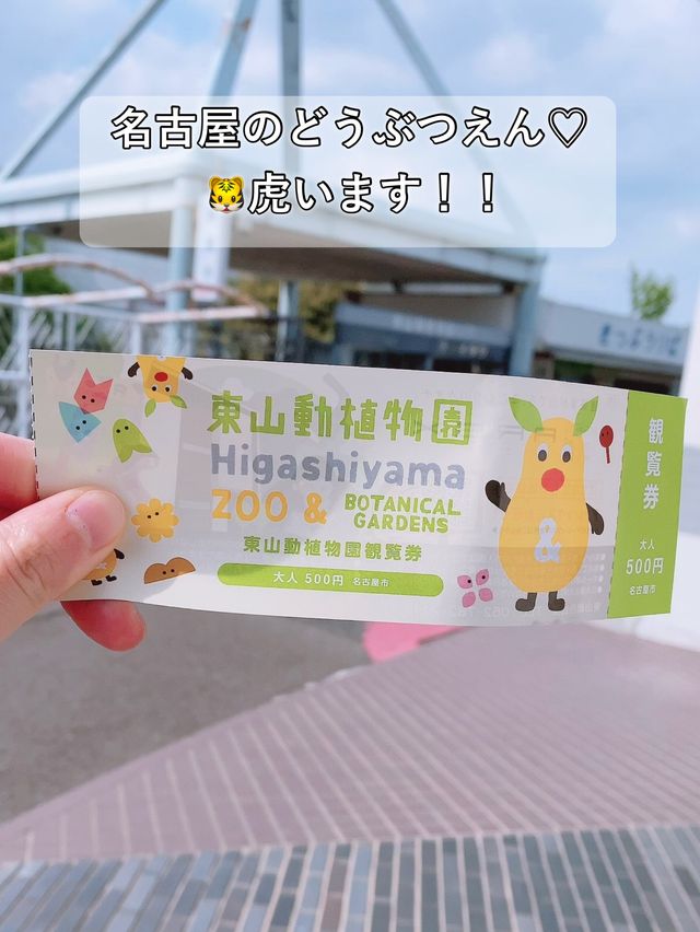【名古屋】なごやから電車で約20分！東山動物園
