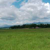 Bacolod Escaped