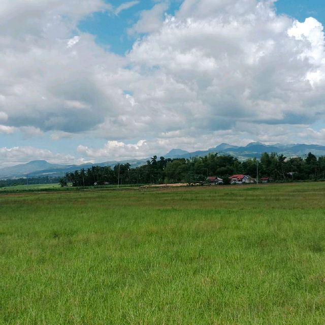 Bacolod Escaped