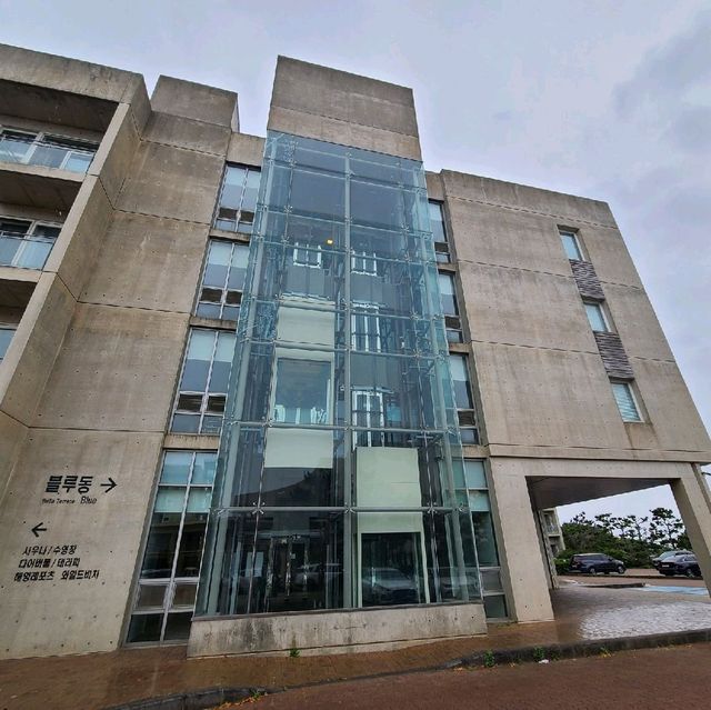 휘닉스 제주 섭지 코지