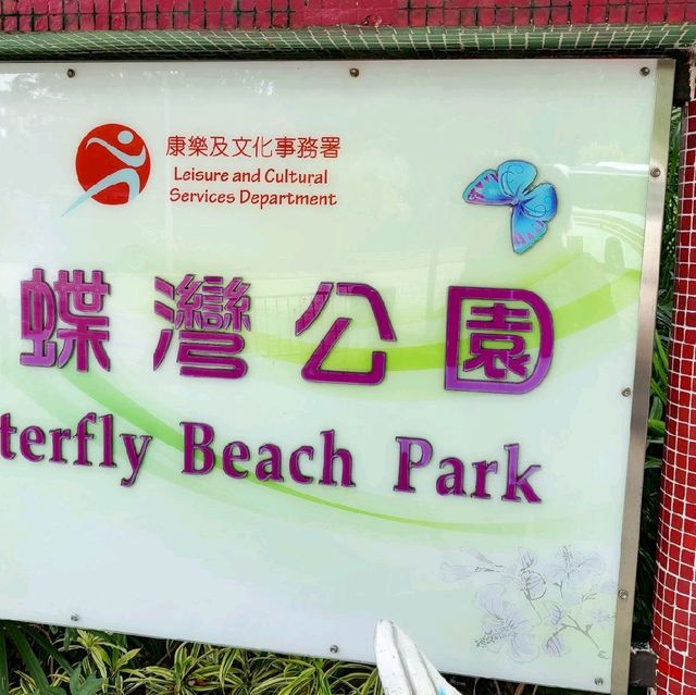 圍封多時，休養生息後的公園及海灘