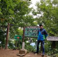덕항산 등산 