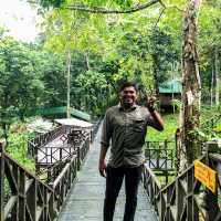 Tabin Wildlife Resort