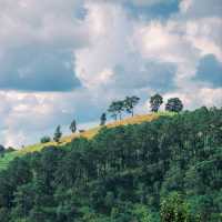 เลาวู เวียงแหง เชียงใหม่ ที่ของคนรักเขา