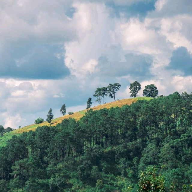 เลาวู เวียงแหง เชียงใหม่ ที่ของคนรักเขา
