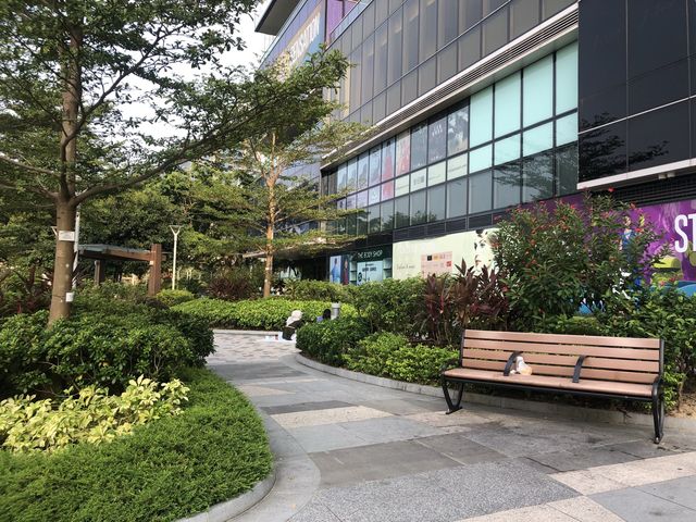 A mix of Shopping and Dining Options at Harbourfront Promenade.   