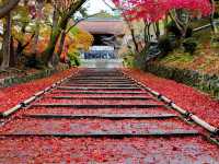 【京都】京都随一の紅葉スポット！毘沙門堂門跡をご紹介