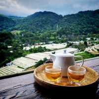 The Scenic Doi Inthanon National Park