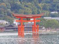 秋🍁(安芸)の宮島。宮島口駅→宮島