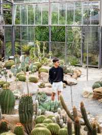 🌵Botanist Activity Space & Cafe