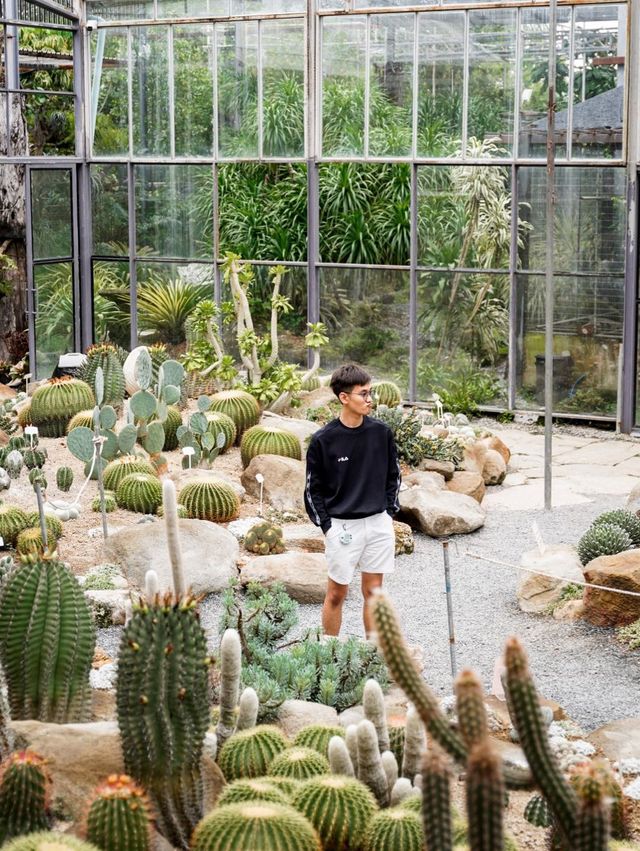 🌵Botanist Activity Space & Cafe