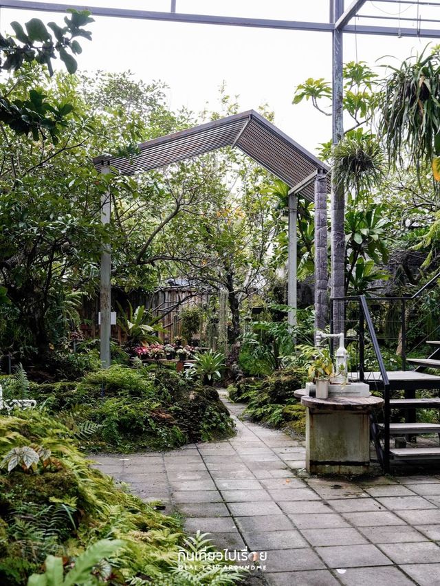 🌵Botanist Activity Space & Cafe