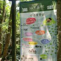 非常棒的住宿體驗【桃園復興】綠光森林民宿