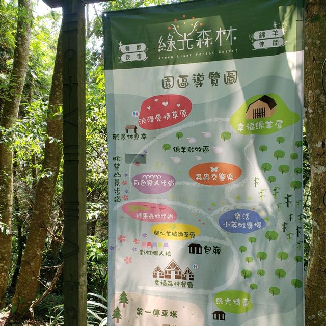 非常棒的住宿體驗【桃園復興】綠光森林民宿