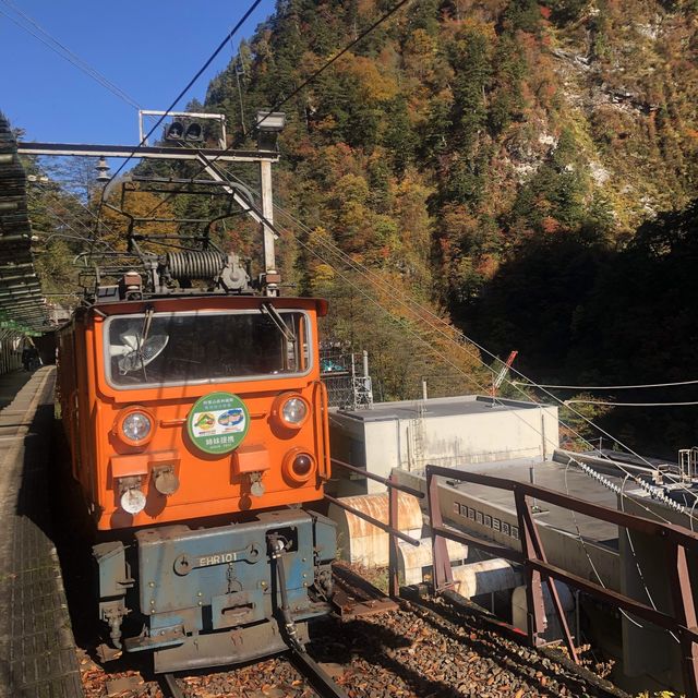 楓葉絕景