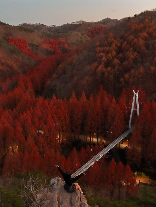 단풍 막차타러 다녀온 대전 장태산 