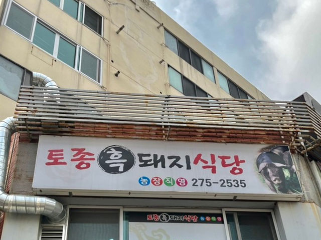 너무 맛있어서 용서할 수 없는 청주 흑돼지 맛집 “토종흑돼지식당”