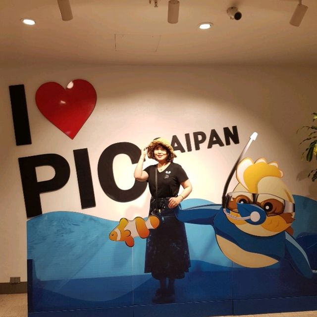 사이판PIC와 씨터치 체험