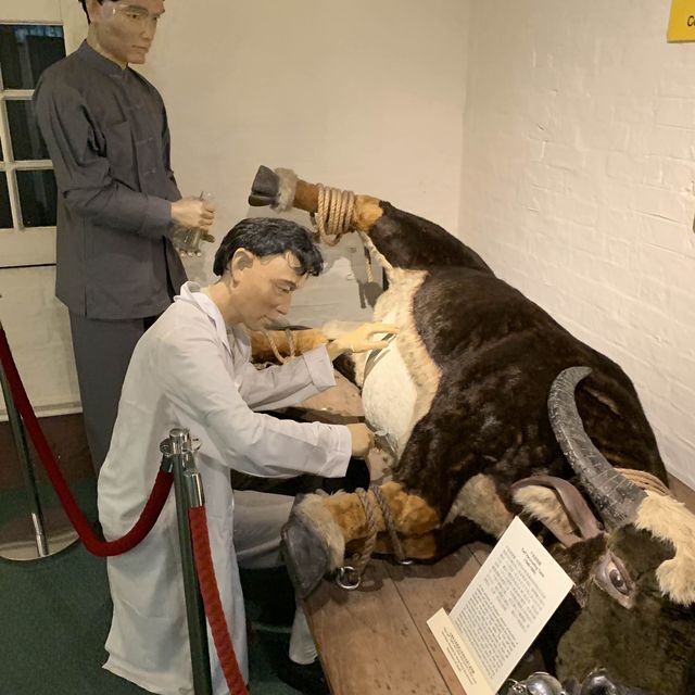香港醫學博物館