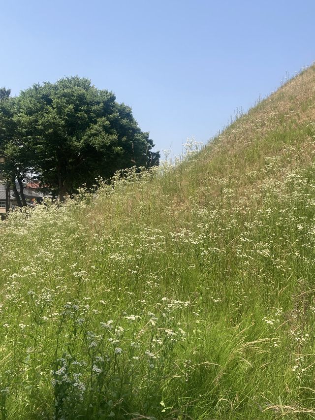 경주 숨겨진 여행지
