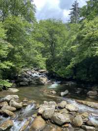 Chimney Top Trail - Smoky National Park