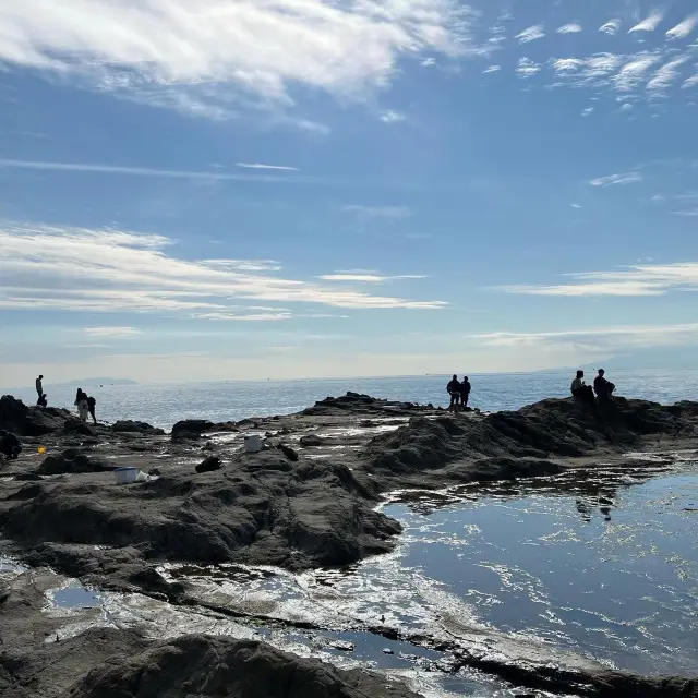 Enoshima 1/2 day tour 