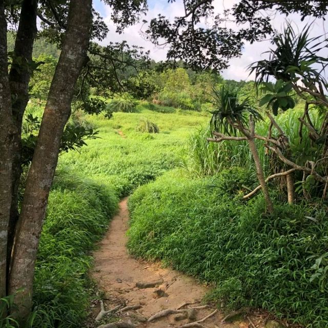 Awesome HK Hike